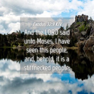 Picture 04 - Exodus 32:9 KJV - And the LORD said unto Moses, I have seen this - Bible Verse Picture