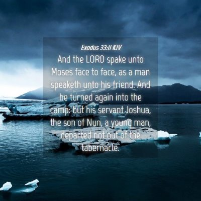 Picture 04 - Exodus 33:11 KJV - And the LORD spake unto Moses face to face, as a - Bible Verse Picture