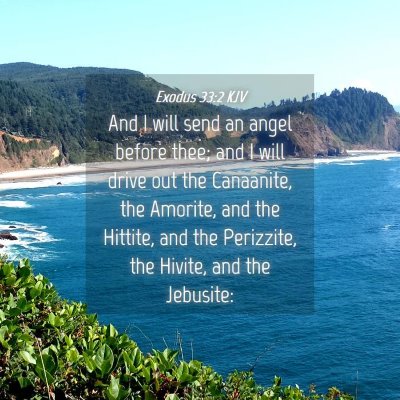 Picture 04 - Exodus 33:2 KJV - And I will send an angel before thee; and I will - Bible Verse Picture