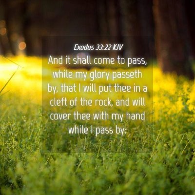Picture 04 - Exodus 33:22 KJV - And it shall come to pass, while my glory passeth - Bible Verse Picture