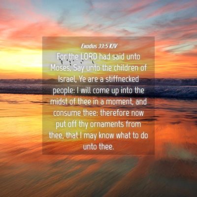 Picture 04 - Exodus 33:5 KJV - For the LORD had said unto Moses, Say unto the - Bible Verse Picture