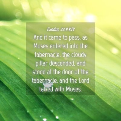 Picture 04 - Exodus 33:9 KJV - And it came to pass, as Moses entered into the - Bible Verse Picture