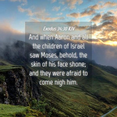Picture 04 - Exodus 34:30 KJV - And when Aaron and all the children of Israel saw - Bible Verse Picture