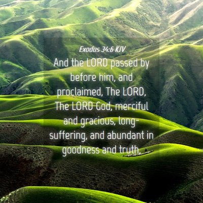 Picture 04 - Exodus 34:6 KJV - And the LORD passed by before him, and - Bible Verse Picture