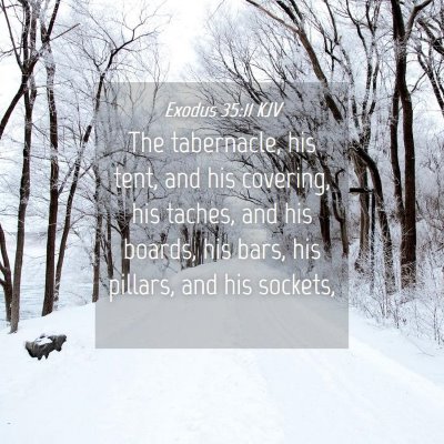 Picture 04 - Exodus 35:11 KJV - The tabernacle, his tent, and his covering, his - Bible Verse Picture