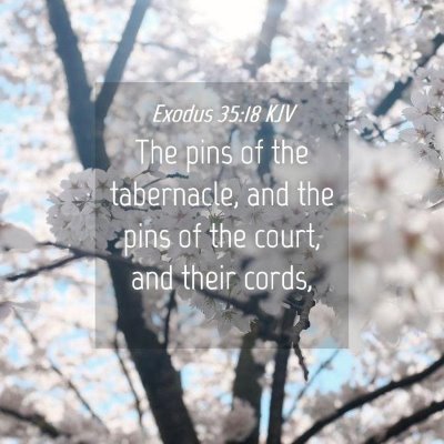 Picture 04 - Exodus 35:18 KJV - The pins of the tabernacle, and the pins of the - Bible Verse Picture