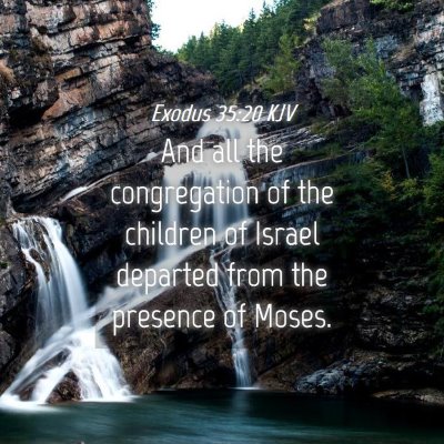 Picture 04 - Exodus 35:20 KJV - And all the congregation of the children of - Bible Verse Picture