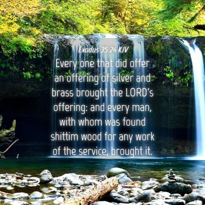 Picture 04 - Exodus 35:24 KJV - Every one that did offer an offering of silver - Bible Verse Picture