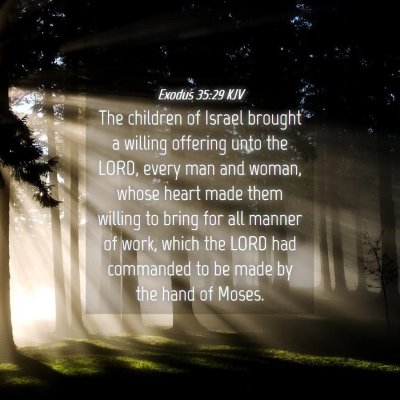 Picture 04 - Exodus 35:29 KJV - The children of Israel brought a willing offering - Bible Verse Picture