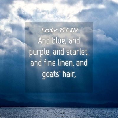 Picture 04 - Exodus 35:6 KJV - And blue, and purple, and scarlet, and fine - Bible Verse Picture