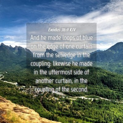 Picture 04 - Exodus 36:11 KJV - And he made loops of blue on the edge of one - Bible Verse Picture