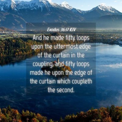 Picture 04 - Exodus 36:17 KJV - And he made fifty loops upon the uttermost edge - Bible Verse Picture