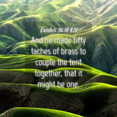 Picture 04 - Exodus 36:18 KJV - And he made fifty taches of brass to couple the - Bible Verse Picture