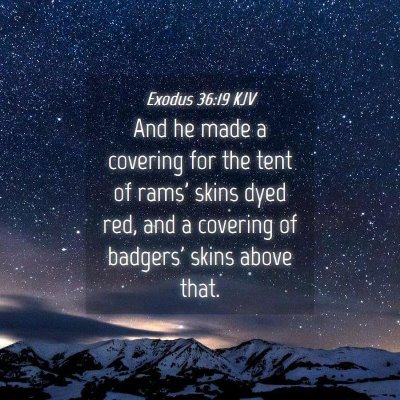 Picture 04 - Exodus 36:19 KJV - And he made a covering for the tent of rams' - Bible Verse Picture