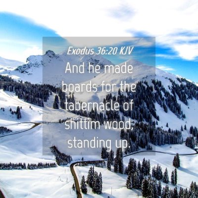 Picture 04 - Exodus 36:20 KJV - And he made boards for the tabernacle of shittim - Bible Verse Picture