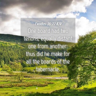 Picture 04 - Exodus 36:22 KJV - One board had two tenons, equally distant one - Bible Verse Picture
