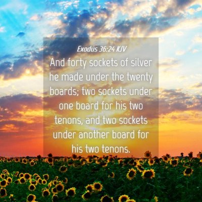 Picture 04 - Exodus 36:24 KJV - And forty sockets of silver he made under the - Bible Verse Picture