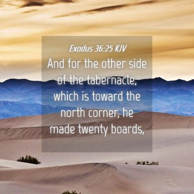 Picture 04 - Exodus 36:25 KJV - And for the other side of the tabernacle, which - Bible Verse Picture