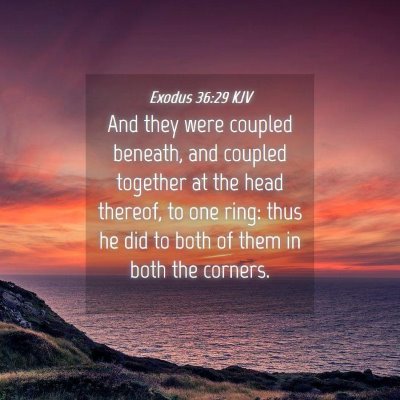Picture 04 - Exodus 36:29 KJV - And they were coupled beneath, and coupled - Bible Verse Picture
