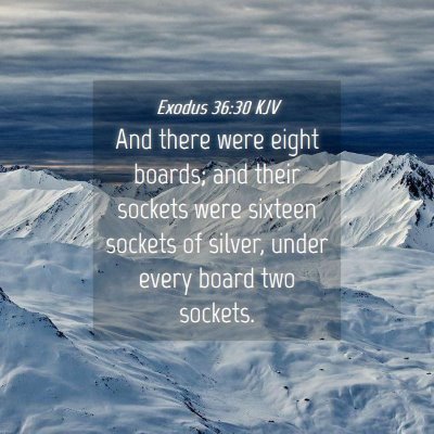 Picture 04 - Exodus 36:30 KJV - And there were eight boards; and their sockets - Bible Verse Picture
