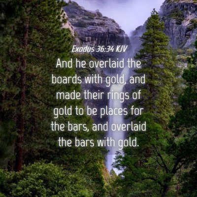 Picture 04 - Exodus 36:34 KJV - And he overlaid the boards with gold, and made - Bible Verse Picture