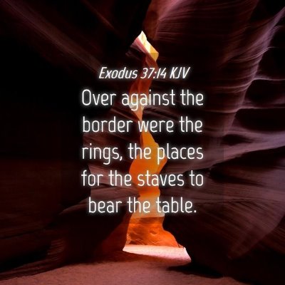 Picture 04 - Exodus 37:14 KJV - Over against the border were the rings, the - Bible Verse Picture