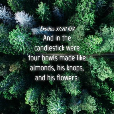 Picture 04 - Exodus 37:20 KJV - And in the candlestick were four bowls made like - Bible Verse Picture