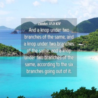 Picture 04 - Exodus 37:21 KJV - And a knop under two branches of the same, and a - Bible Verse Picture