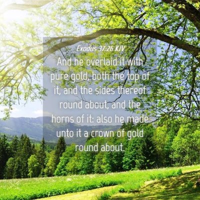 Picture 04 - Exodus 37:26 KJV - And he overlaid it with pure gold, both the top - Bible Verse Picture
