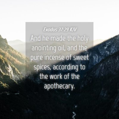 Picture 04 - Exodus 37:29 KJV - And he made the holy anointing oil, and the pure - Bible Verse Picture
