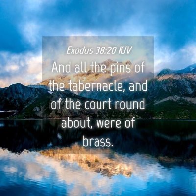 Picture 04 - Exodus 38:20 KJV - And all the pins of the tabernacle, and of the - Bible Verse Picture