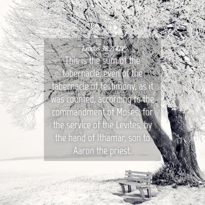 Picture 04 - Exodus 38:21 KJV - This is the sum of the tabernacle, even of the - Bible Verse Picture