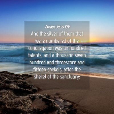 Picture 04 - Exodus 38:25 KJV - And the silver of them that were numbered of the - Bible Verse Picture
