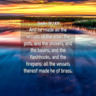 Picture 04 - Exodus 38:3 KJV - And he made all the vessels of the altar, the - Bible Verse Picture