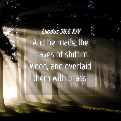 Picture 04 - Exodus 38:6 KJV - And he made the staves of shittim wood, and - Bible Verse Picture