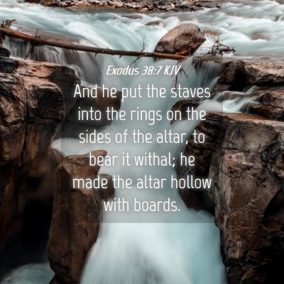 Picture 04 - Exodus 38:7 KJV - And he put the staves into the rings on the sides - Bible Verse Picture