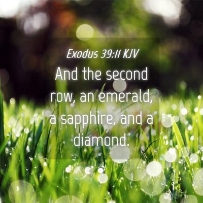 Picture 04 - Exodus 39:11 KJV - And the second row, an emerald, a sapphire, and a - Bible Verse Picture