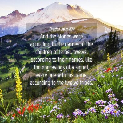 Picture 04 - Exodus 39:14 KJV - And the stones were according to the names of the - Bible Verse Picture