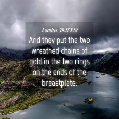 Picture 04 - Exodus 39:17 KJV - And they put the two wreathed chains of gold in - Bible Verse Picture