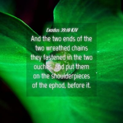 Picture 04 - Exodus 39:18 KJV - And the two ends of the two wreathed chains they - Bible Verse Picture