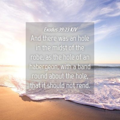 Picture 04 - Exodus 39:23 KJV - And there was an hole in the midst of the robe, - Bible Verse Picture