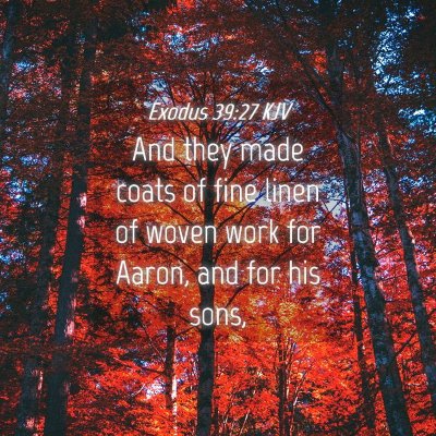 Picture 04 - Exodus 39:27 KJV - And they made coats of fine linen of woven work - Bible Verse Picture