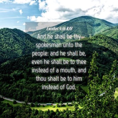 Picture 04 - Exodus 4:16 KJV - And he shall be thy spokesman unto the people: - Bible Verse Picture