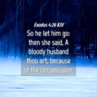 Picture 04 - Exodus 4:26 KJV - So he let him go: then she said, A bloody husband - Bible Verse Picture