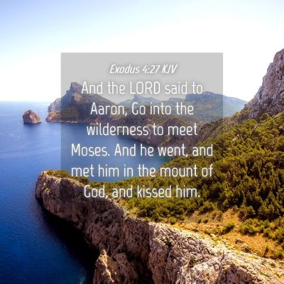 Picture 04 - Exodus 4:27 KJV - And the LORD said to Aaron, Go into the - Bible Verse Picture
