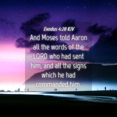 Picture 04 - Exodus 4:28 KJV - And Moses told Aaron all the words of the LORD - Bible Verse Picture
