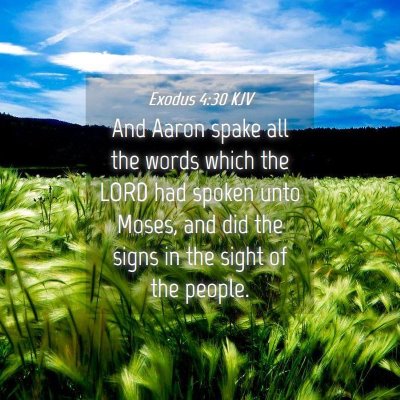 Picture 04 - Exodus 4:30 KJV - And Aaron spake all the words which the LORD had - Bible Verse Picture