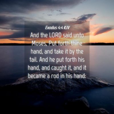 Picture 04 - Exodus 4:4 KJV - And the LORD said unto Moses, Put forth thine - Bible Verse Picture