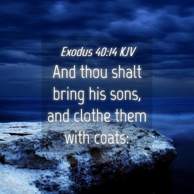 Picture 04 - Exodus 40:14 KJV - And thou shalt bring his sons, and clothe them - Bible Verse Picture