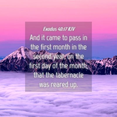 Picture 04 - Exodus 40:17 KJV - And it came to pass in the first month in the - Bible Verse Picture
